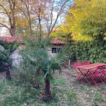 Un Jardin En Ville Toulouse Dış mekan fotoğraf