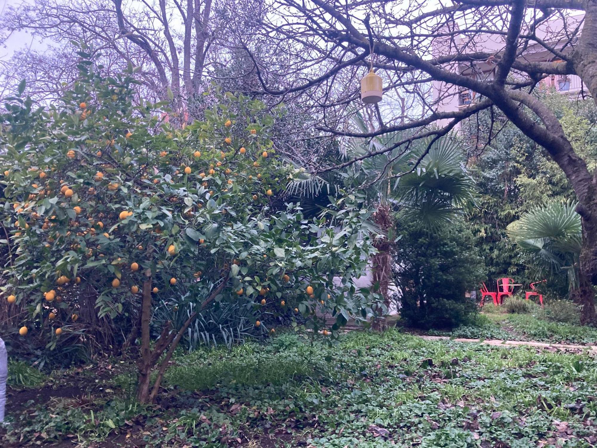 Un Jardin En Ville Toulouse Dış mekan fotoğraf